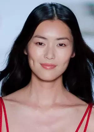 Liu Wen