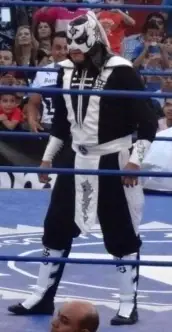Jr.