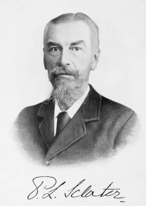 Philip Sclater